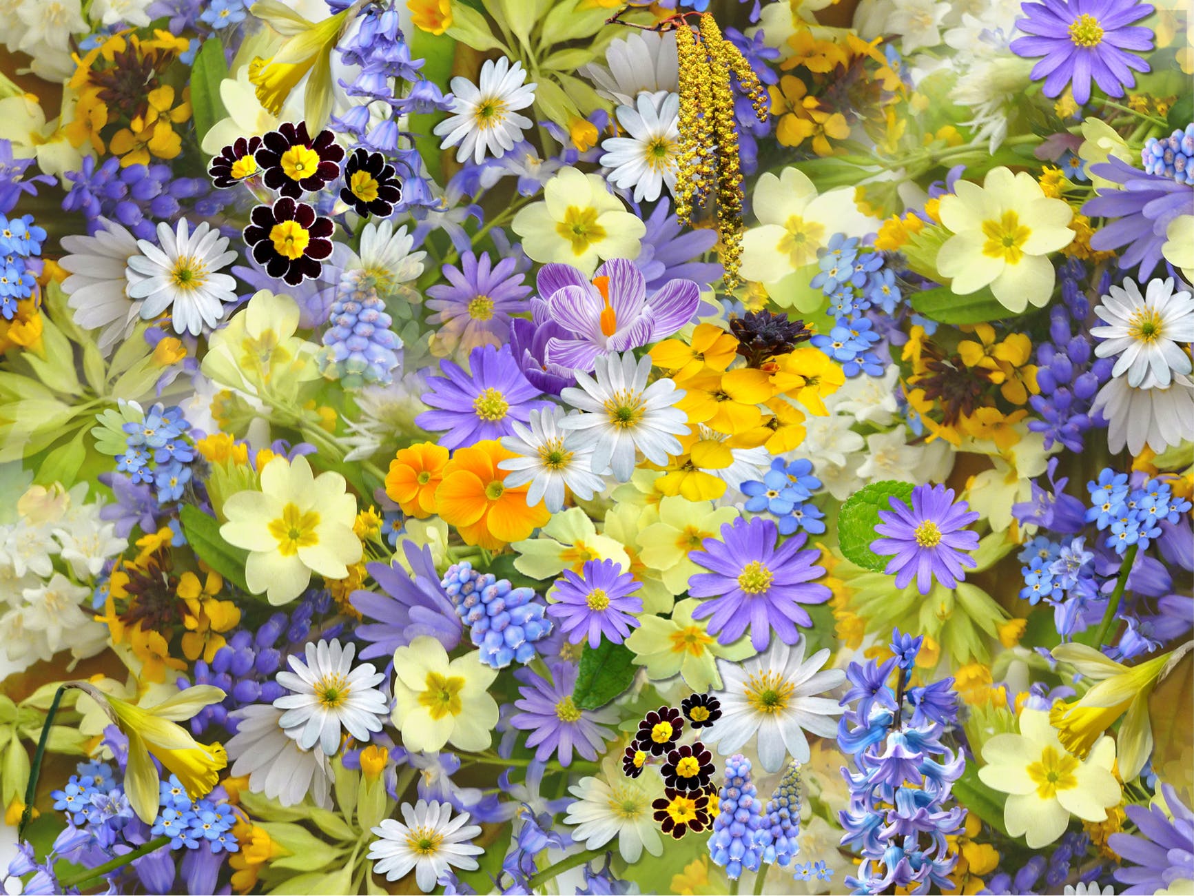 STILL TIME TO ENTER WEDNESBURY IN BLOOM - Walsall Echo