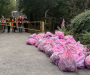 More than 5,000 bags of rubbish removed by Walsall litter pickers
