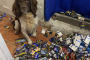 Illegal tobacco, drugs and dangerous sweets seized in Walsall crackdown