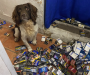 Illegal tobacco, drugs and dangerous sweets seized in Walsall crackdown