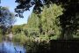 Council agrees revised approach to climate and environmental action