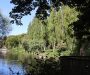 Council agrees revised approach to climate and environmental action