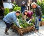 New Green Social Prescribing programme launches in Walsall
